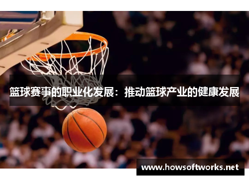 篮球赛事的职业化发展：推动篮球产业的健康发展