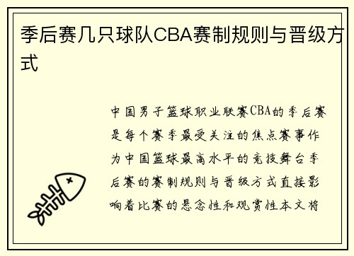 季后赛几只球队CBA赛制规则与晋级方式