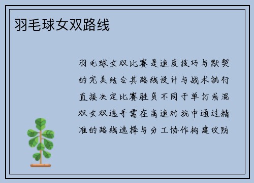 羽毛球女双路线